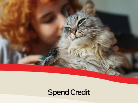 Spend Credit