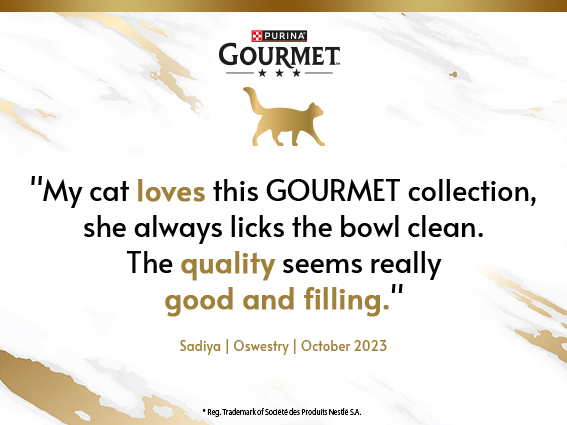 "My cat loves this GOURMET collection, she always licks the bowl clean. The quality seems really good and filling". Sadiya | Oswestry | October 2023. (Image links to Gourmet Pick & Mix page)