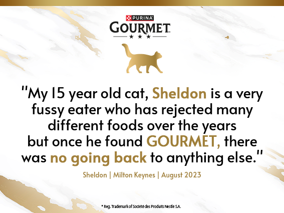 "MY 15 year old cat, Sheldon is a very fussy eater who has rejected many different foods over the years but once he found GOURMET, there was no going back to anything else." Sheldon | Milton Keynes | August 2023. (Image links to Gourmet Pick & Mix page)