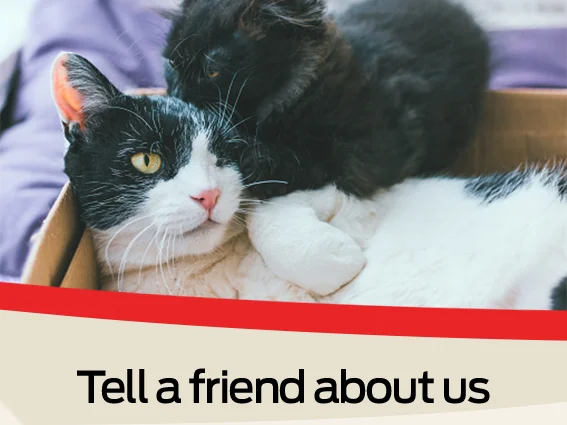 Tell a friend about us