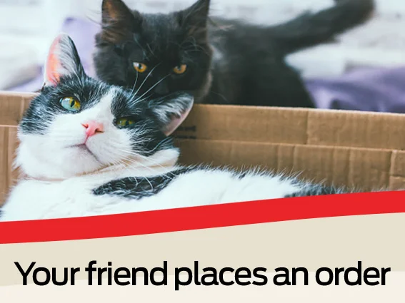 Your friend places an order