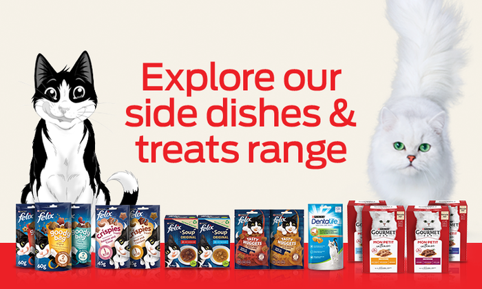 Side Dishes and Treats