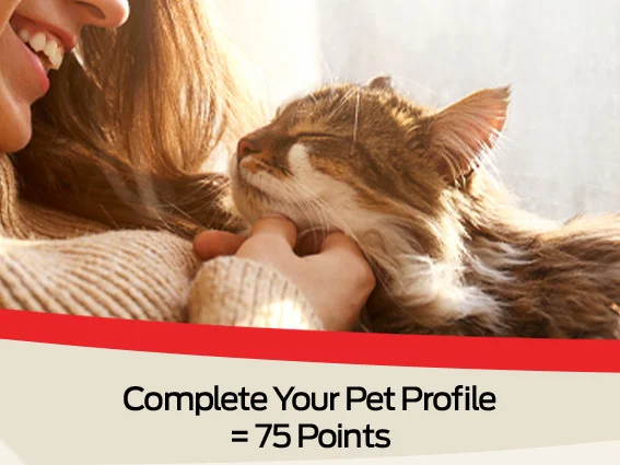Complete your pet profile = 75 points