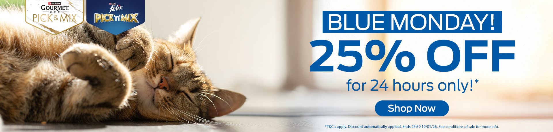 Blue Monday! 25% off for 24 hours only! Shop now