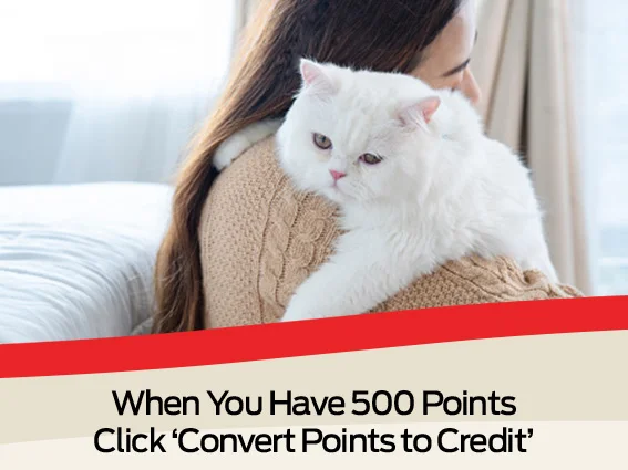 When you have 500 points, click 'convert points to credit'