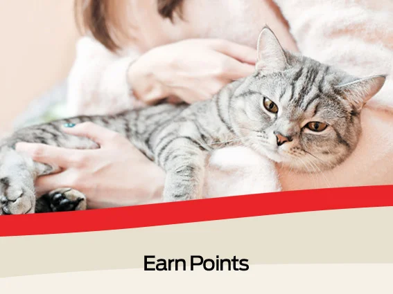 Earn Points