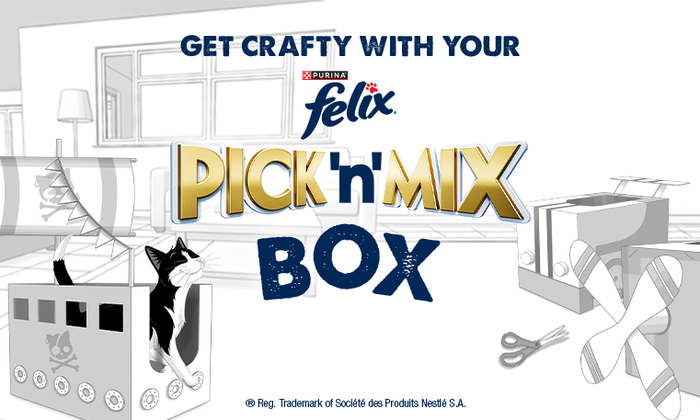 DIY Cardboard Cat Box You Can Make at Home